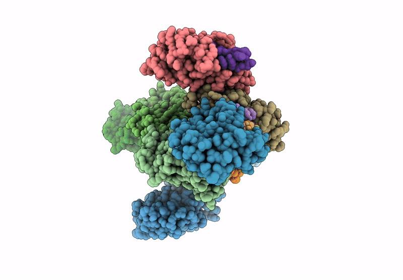 9BT6 image