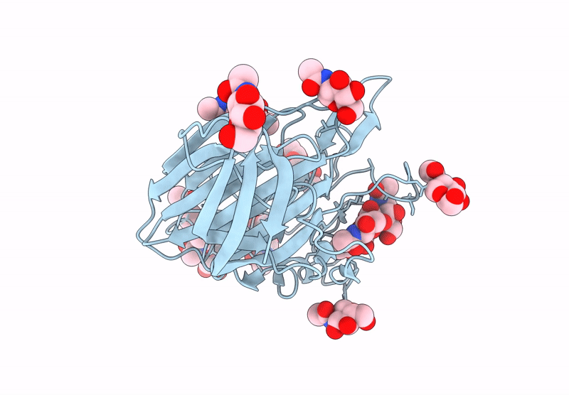 9BTB image