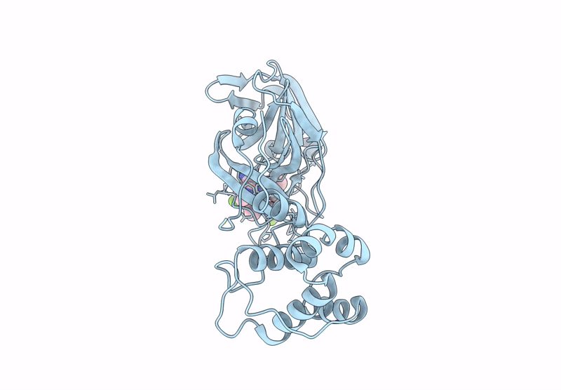 9BTF image