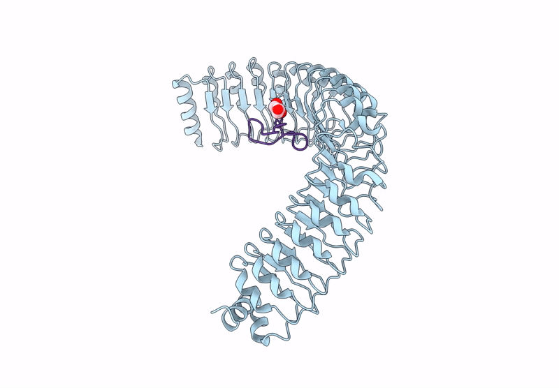 9BTN image