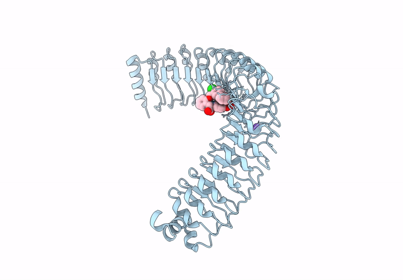 9BTP image