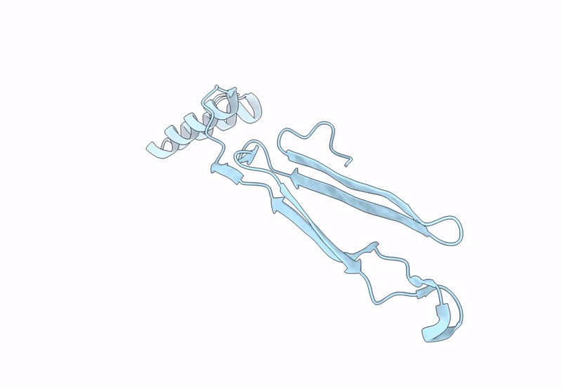 9BTQ image