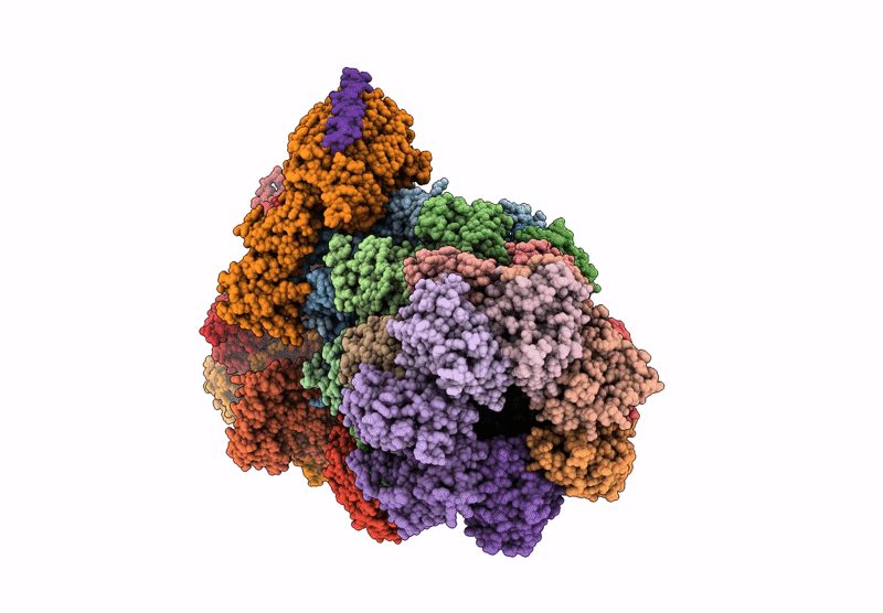 9BV2 image