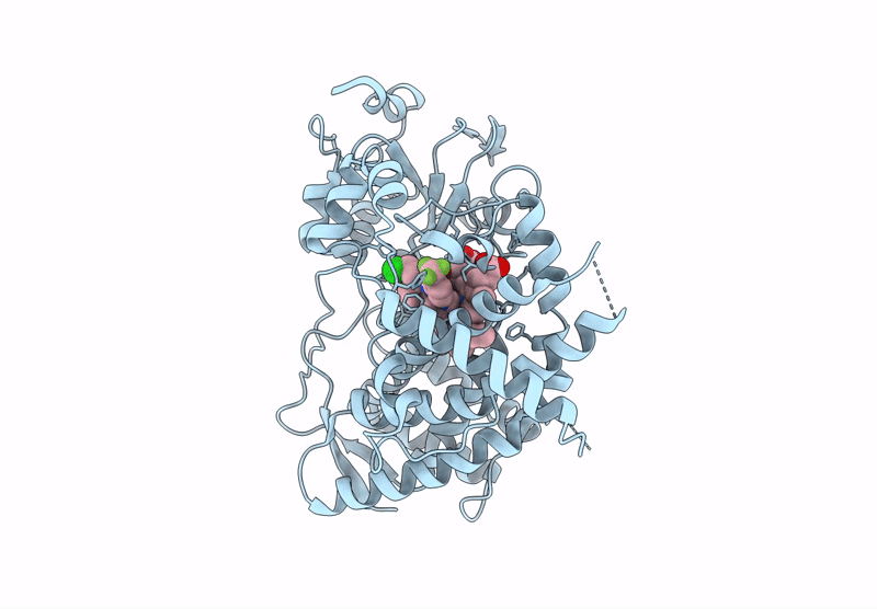 9BVA image