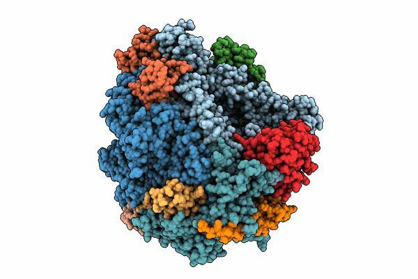 9BVT image