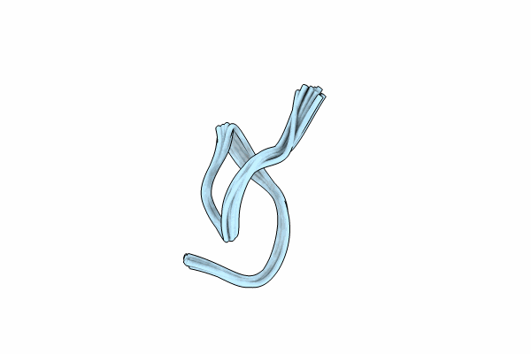 9BVV image