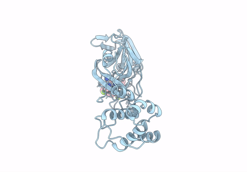 9BVW image