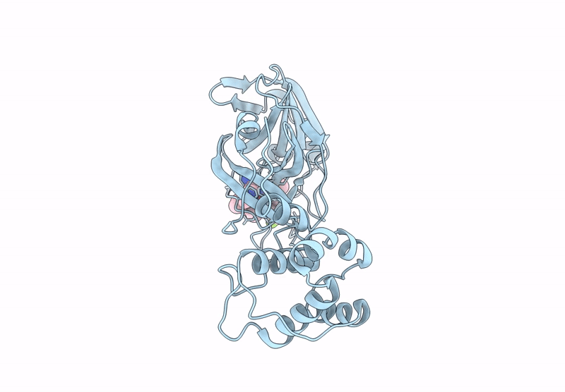 9BVX image