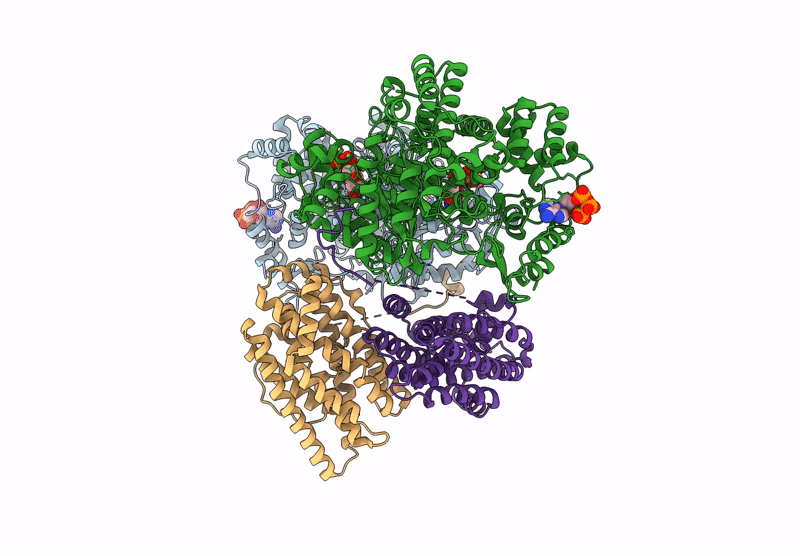 9BX3 image