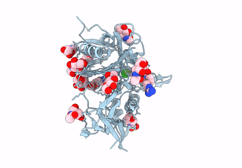 9BXF image