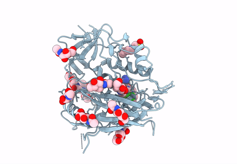 9BXG image