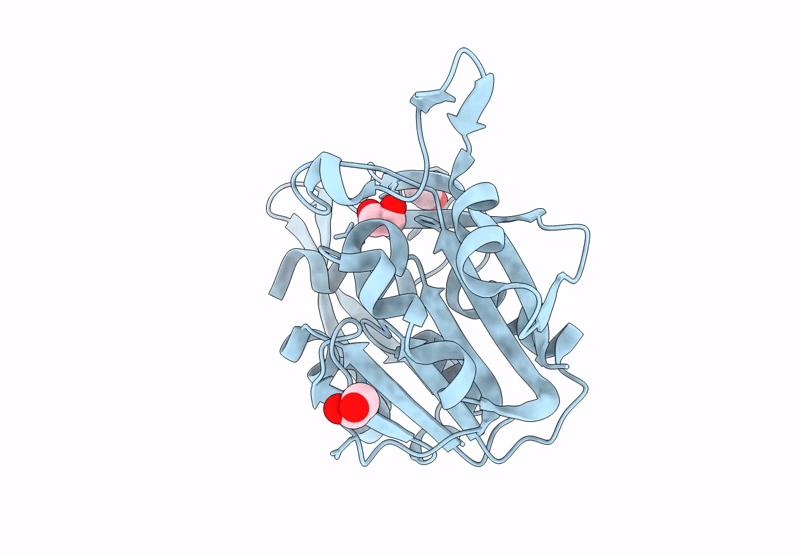 9BXH image