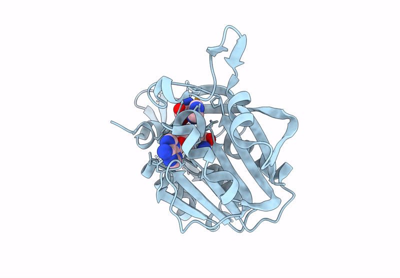 9BXK image