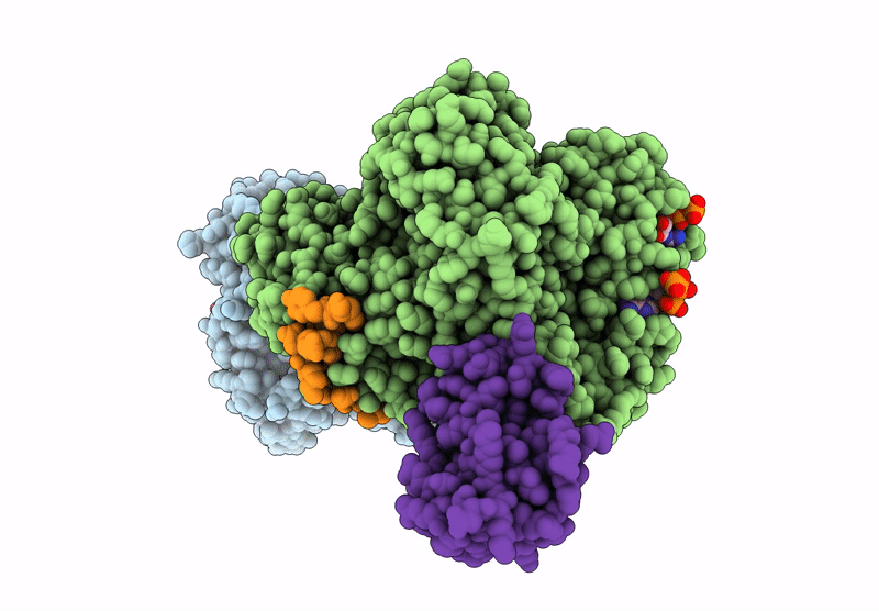 9BXT image