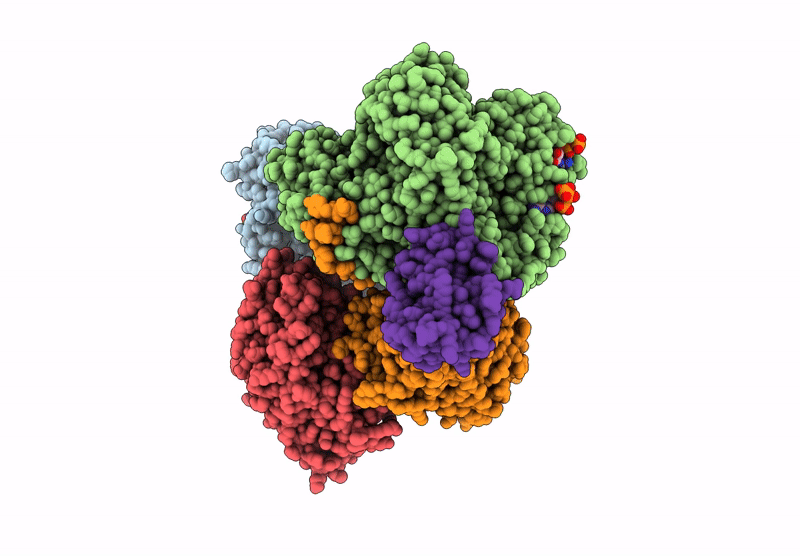 9BXZ image