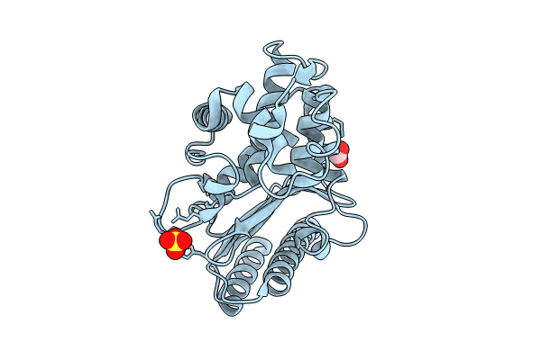 9BZN image