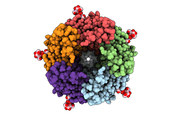 9BZP image