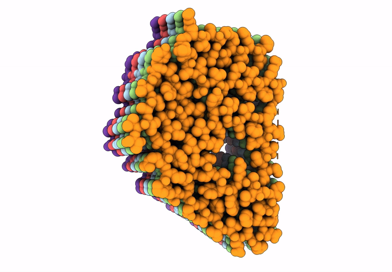 9BZS image