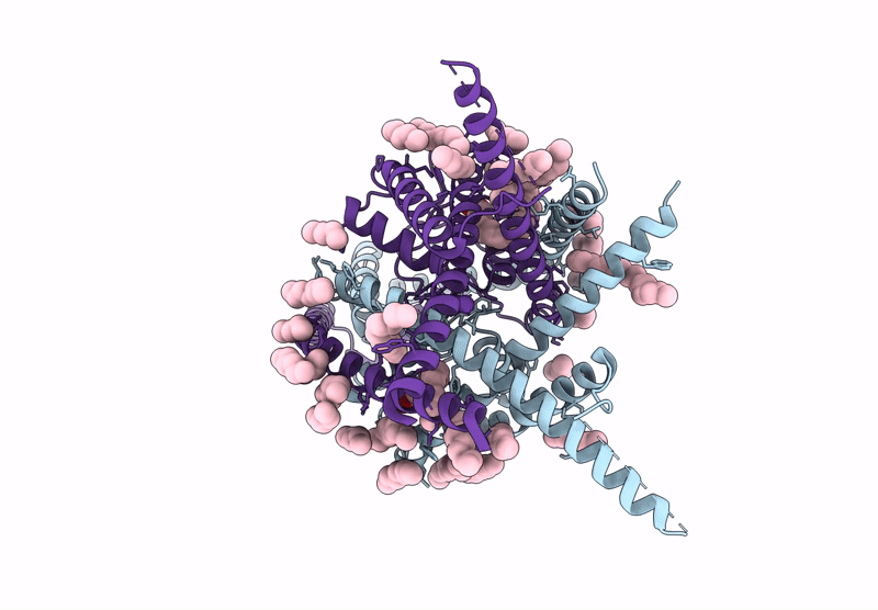 9C07 image