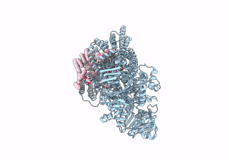 9C12 image