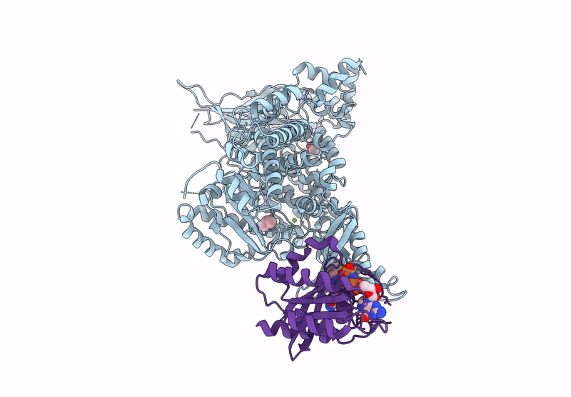 9C15 image