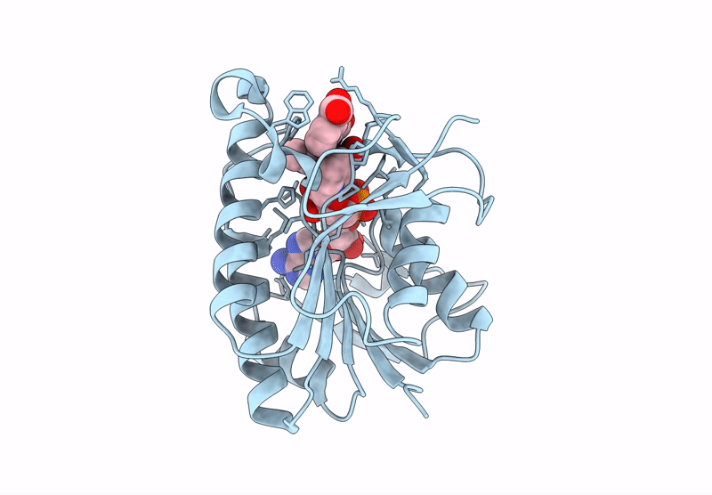9C16 image