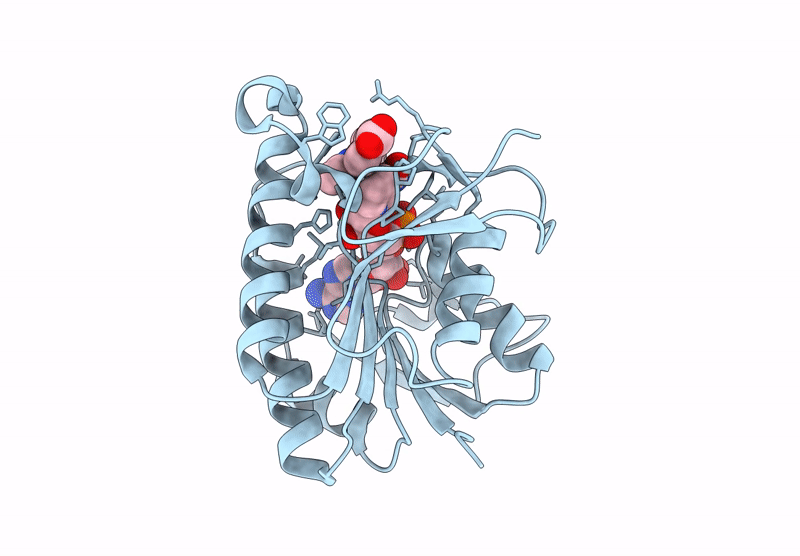 9C17 image