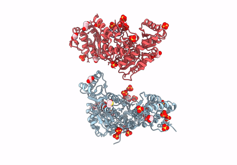 9C1C image