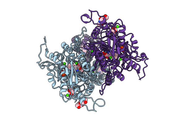 9C1P image