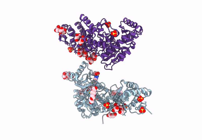 9C1V image
