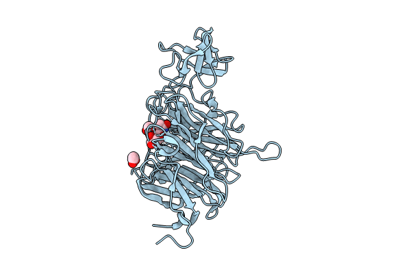 9C20 image