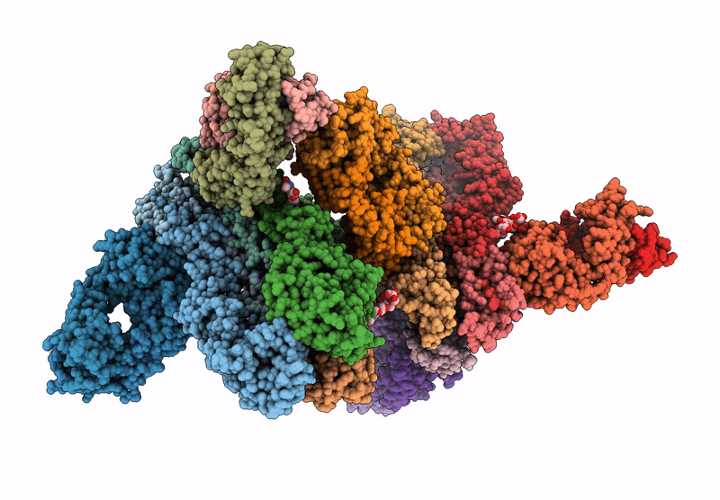 9C22 image