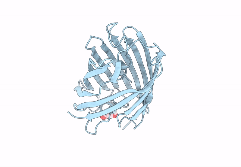9C25 image