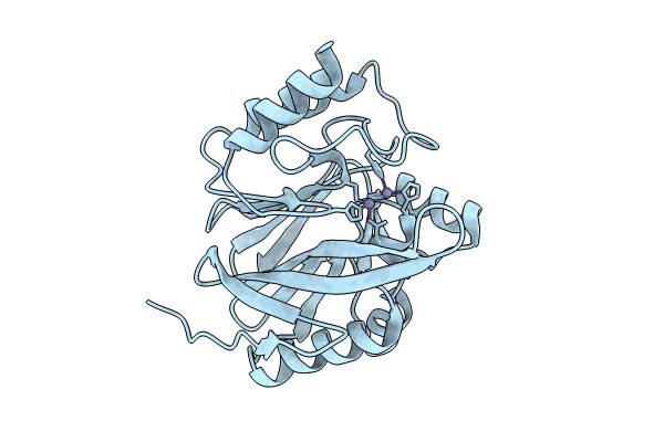 9C3D image
