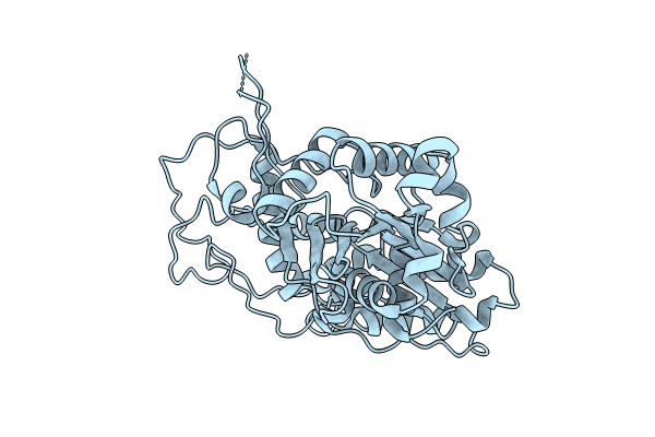 9C4B image