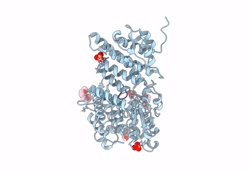 9C4V image