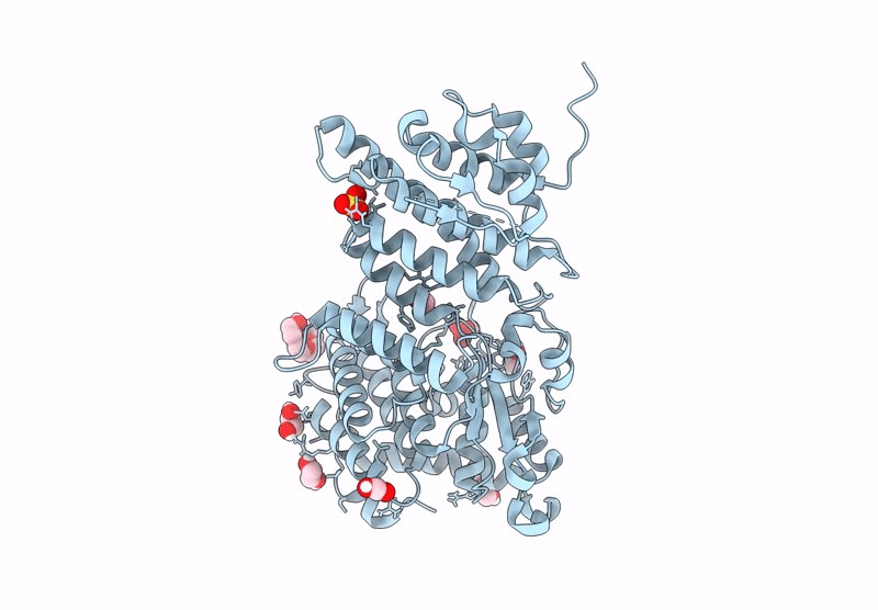 9C4W image