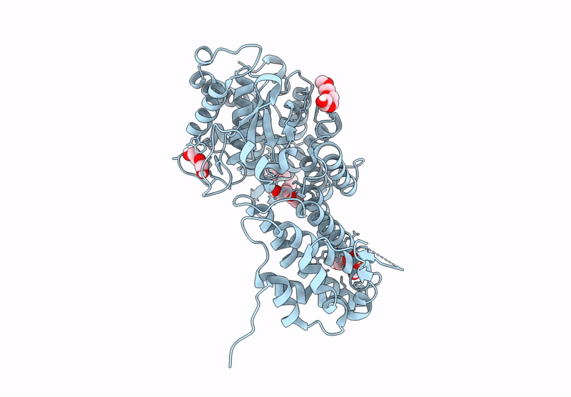 9C4X image