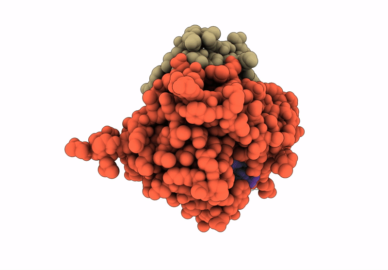 9C50 image