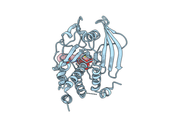 9C55 image