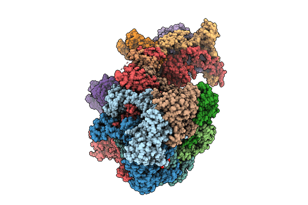 9C57 image