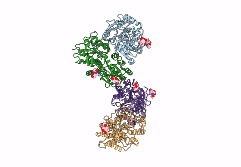 9C5Y image