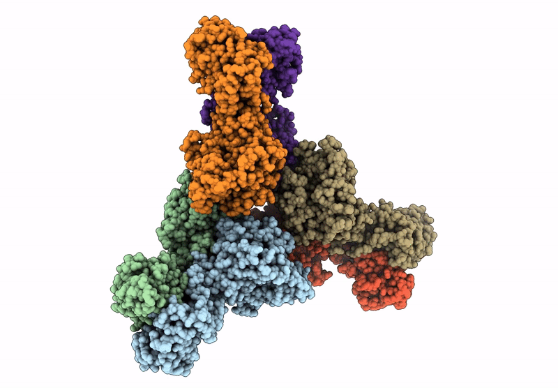 9C67 image