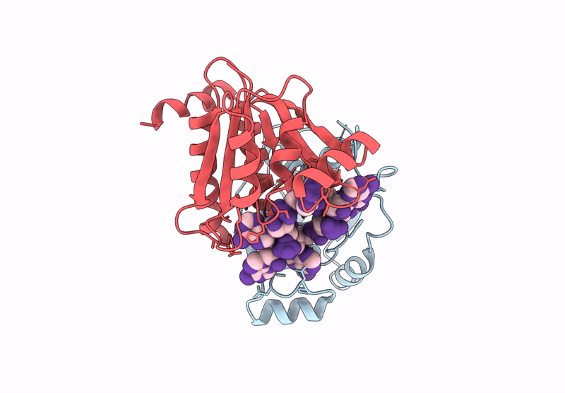 9C68 image