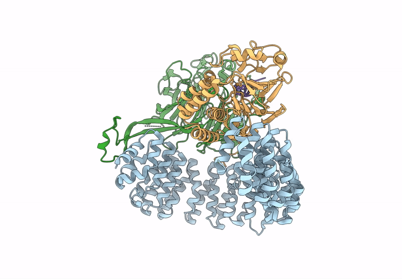 9C6B image