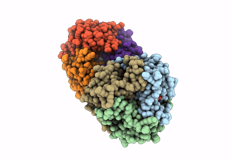 9C6D image
