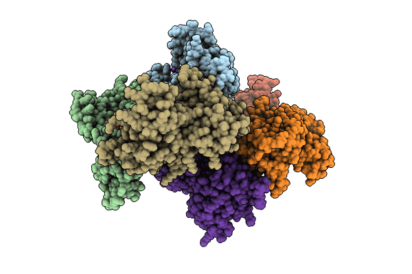 9C6L image