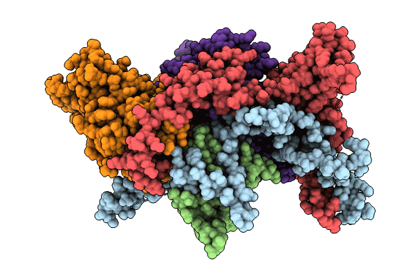 9C6N image