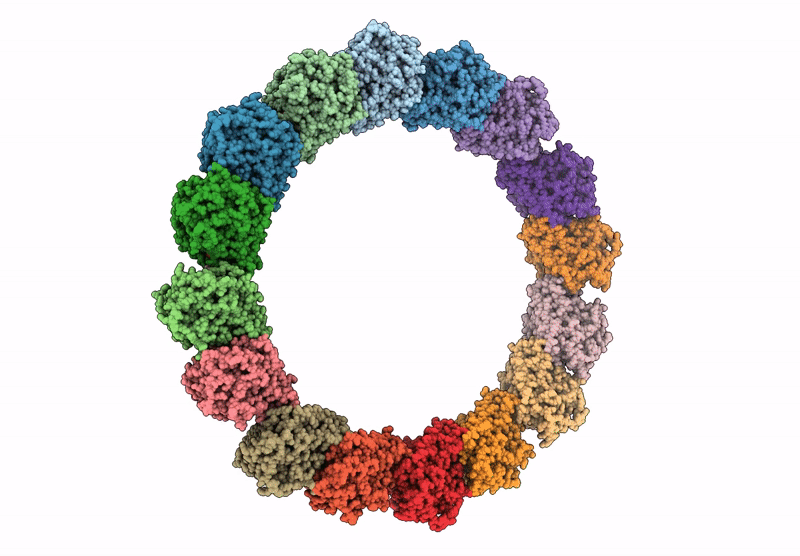 9C6R image