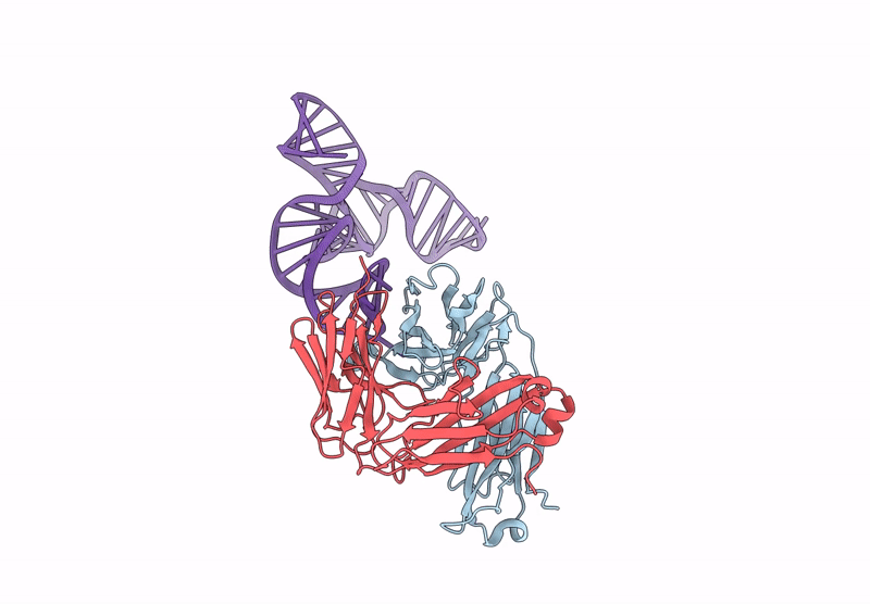 9C75 image
